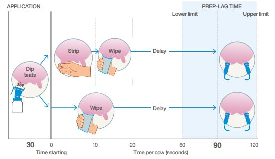 Pre-milking procedure